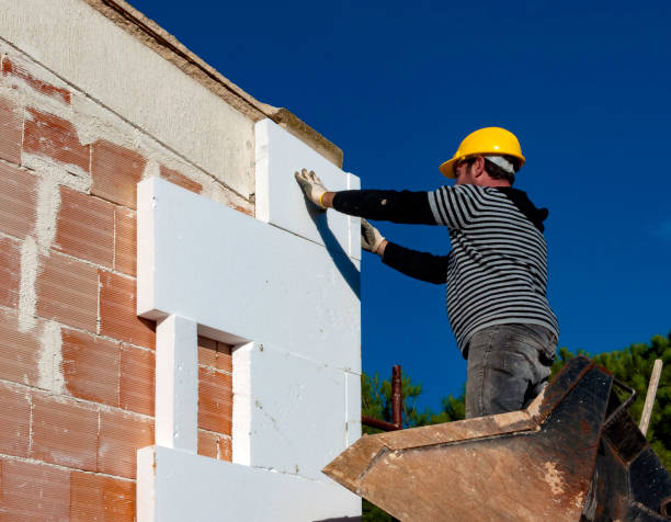 Best Geographic-Specific Insulation Services in Muhlenberg Rk, PA