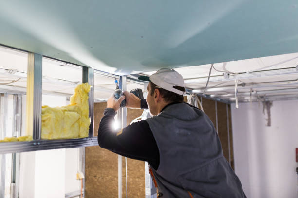 Trusted Muhlenberg Park, PA Insulation Contractor Experts