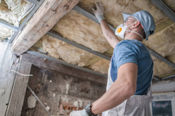 Types of Insulation We Offer in Muhlenberg Park, PA